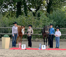 DQHA West-Futurity 2025